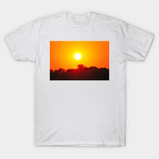 As the Sun Sets 1 T-Shirt